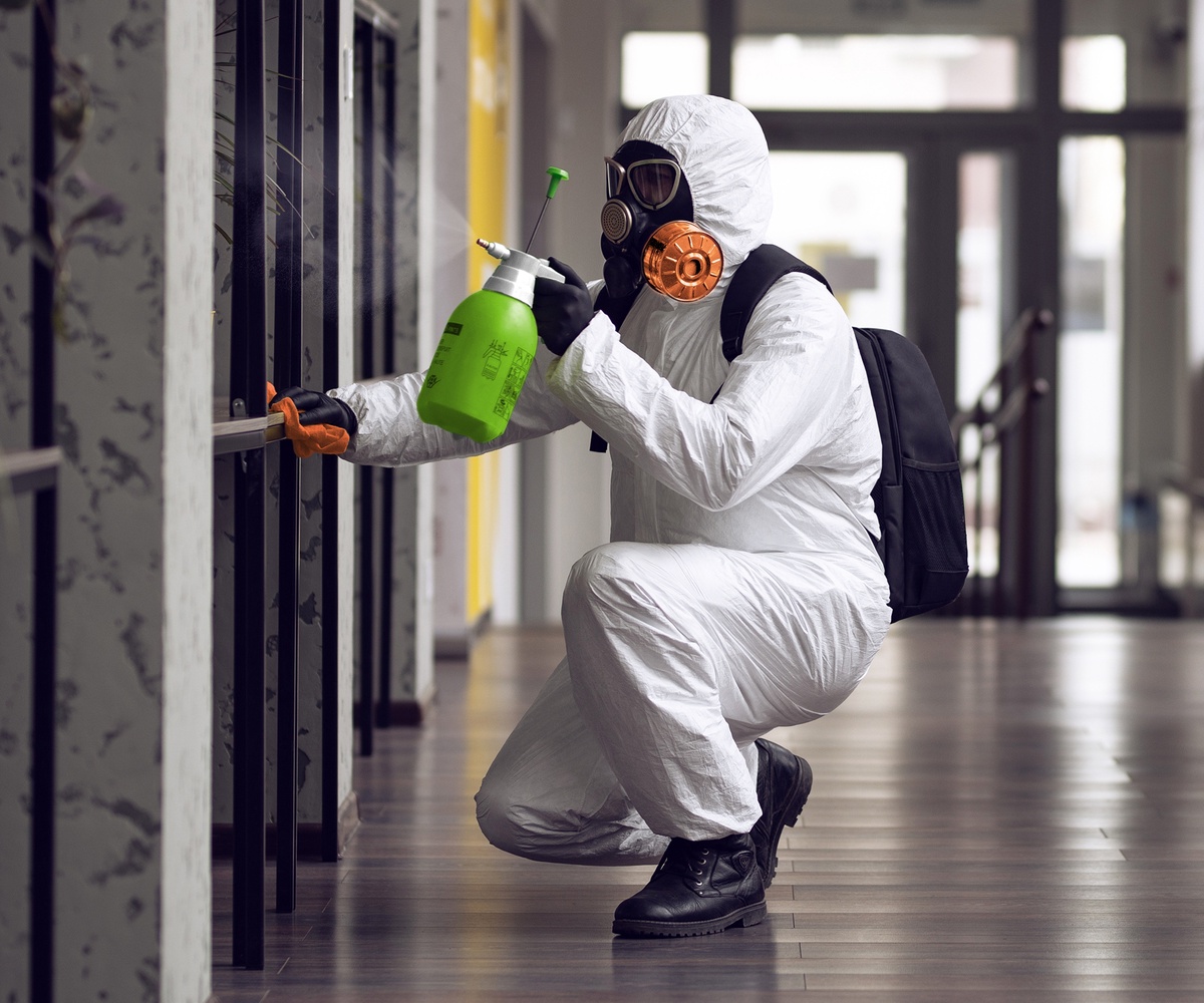 The Ultimate Guide to Mold Remediation Services