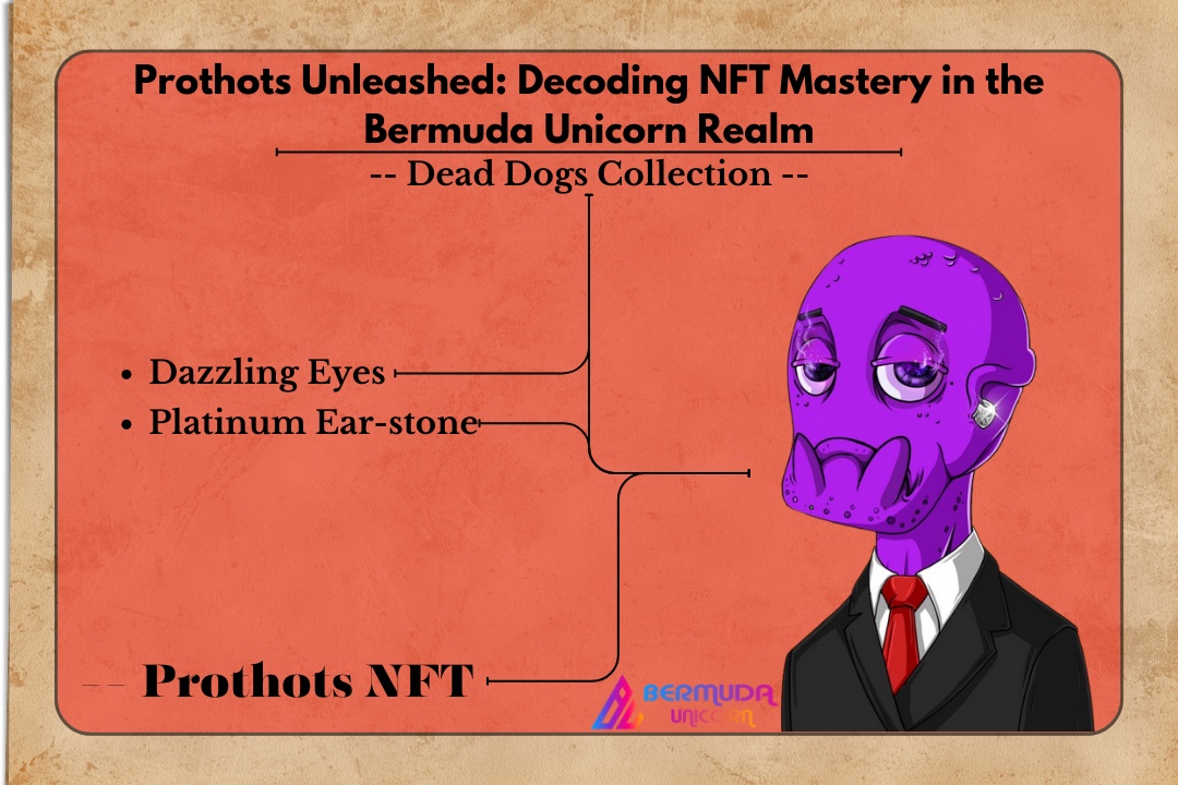 Prothots Unleashed: Decoding NFT Mastery in the Bermuda Unicorn Realm