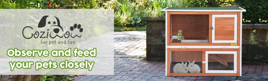 How to Craft Competition-Worthy Rabbit Hutch