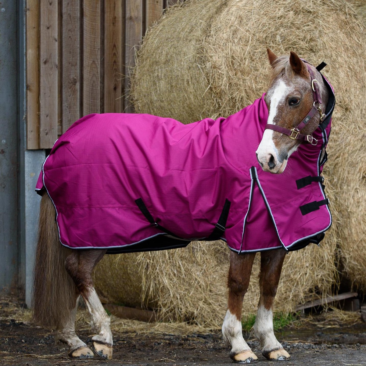 Unpacking the Layers: Lightweight vs. Heavyweight Turnout Rugs for Your Horse