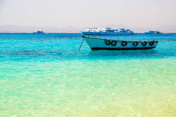 Aqaba's Aquatic Marvels: Experience the Vibrant World Beneath the Waves in a Glass Bottom Boat.
