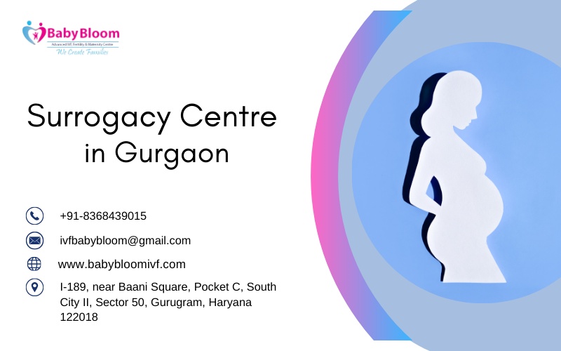 A Comprehensive Guide to Surrogacy: Nurturing Dreams at the Best IVF Centre in Gurgaon