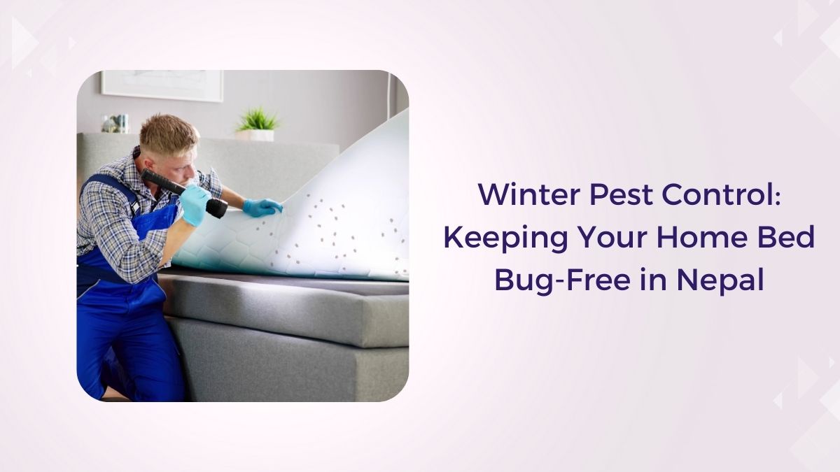 Winter Pest Control: Keeping Your Home Bed Bug-Free in Nepal