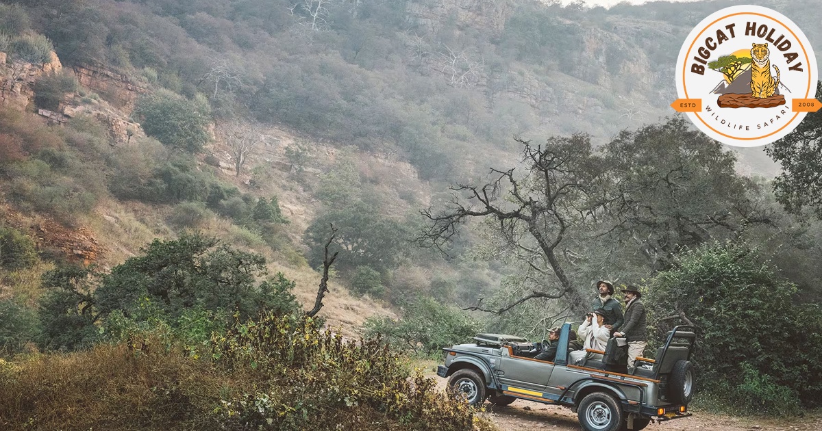 Top 5 Reasons Why a Jeep Safari in Ranthambore is a Must-Do