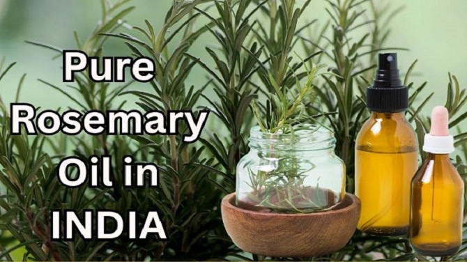 Pure Rosemary Oil Manufacturers In India