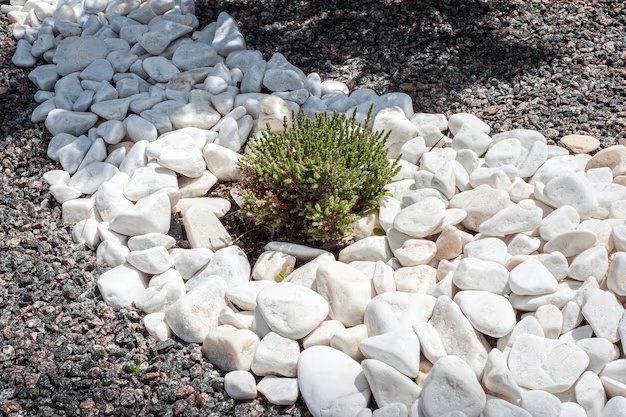 Transforming Your Outdoor Oasis: The Ultimate Guide to Using Decorative Stones for Landscaping
