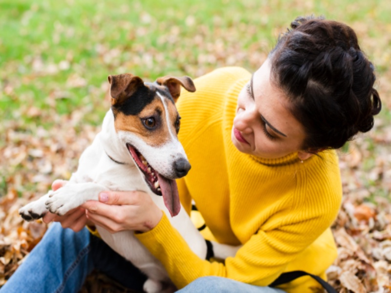 Navigating Emotional Support Animal Rights: A Comprehensive Guide to New York State Laws