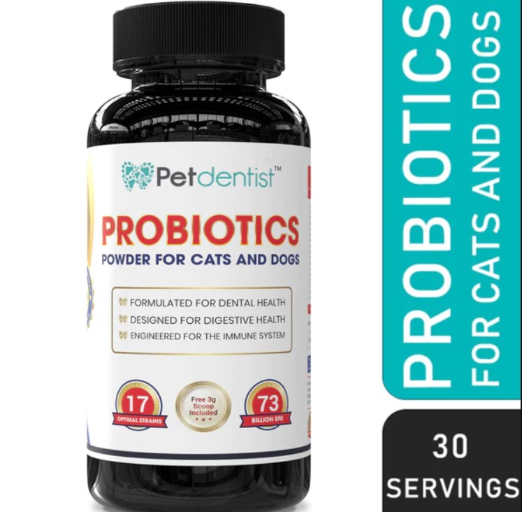 Unveiling The Immune-Boosting Wonders Of Probiotics For Dogs