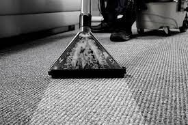 From Drab to Fab: Achieve Pristine Carpets with Pro Cleaning in Flynn