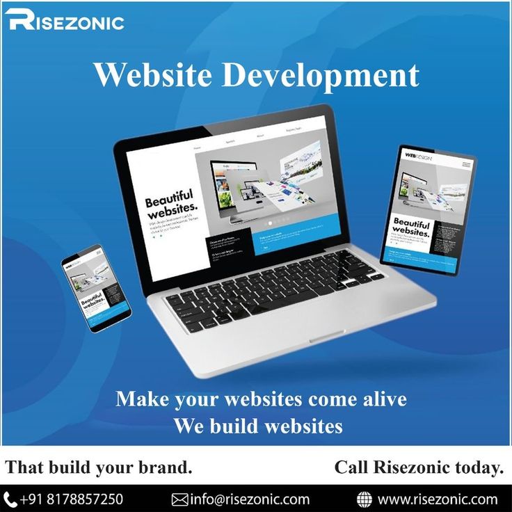 Risezonic - Best Website Development Services in Delhi NCR