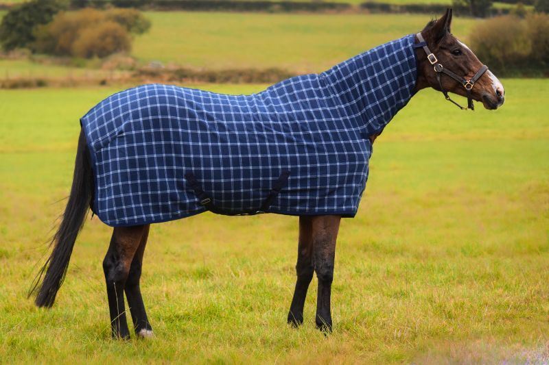 How Do I Care for Winter Horse Rugs? Your Guide to Keeping Them Cosy and Clean
