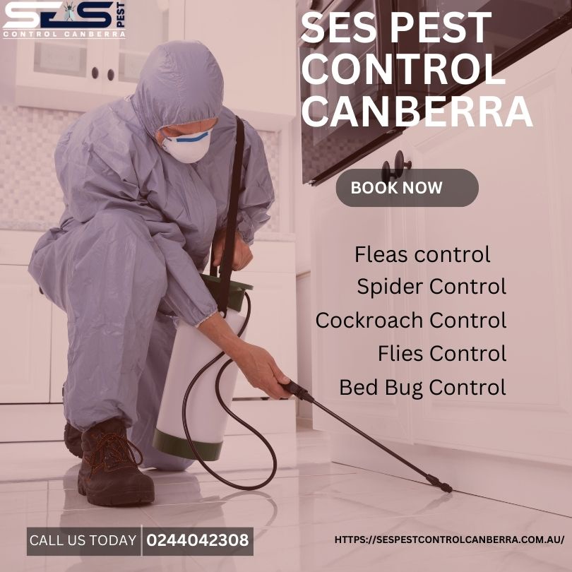 How to Safeguard Your Space: Pest Control Service in Canberra