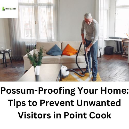 Possum-Proofing Your Home: Tips to Prevent Unwanted Visitors in Point Cook
