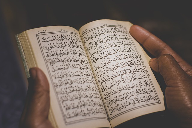 What are the key features of a good online Quran memorization program?