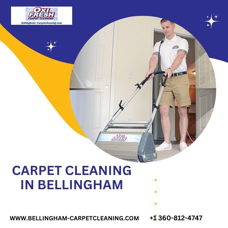 Bellingham's Elegance Underfoot: A Deep Dive into Carpet Cleaning Excellence