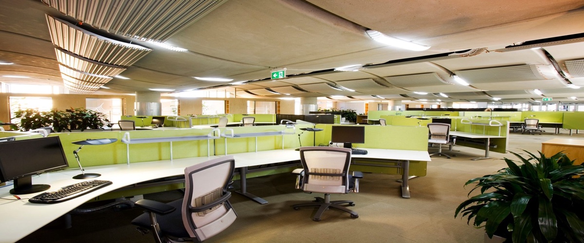 Commercial Spaces: How Custom Building Experts Elevate Business Spaces