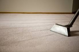 Wave Goodbye to Stains: Dive into Professional Rug Cleaning in Nudgee Beach