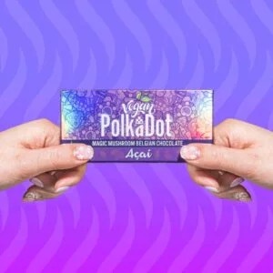 Polkadot Shroom Bar: A Fusion of Nature and Technology