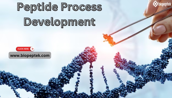 Peptide Process Development and Manufacturing