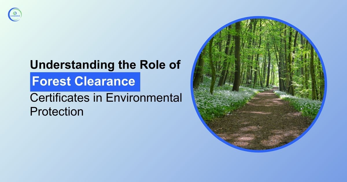 Understanding the Role of Forest Clearance Certificates in Environmental Protection