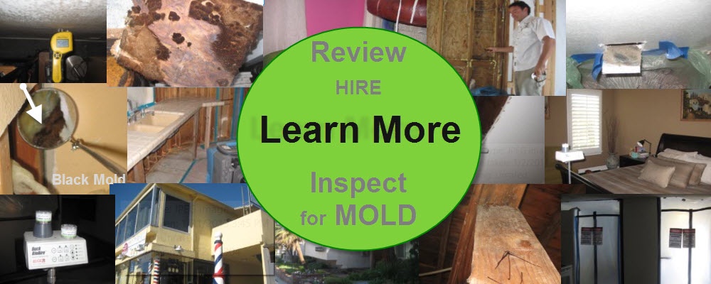 Comprehensive Guide to Effective Black Mold Removal by Mold Inspections Los Angeles