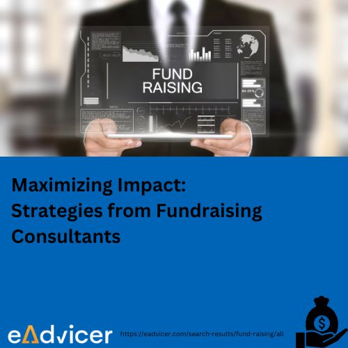 Maximizing Impact: Strategies from Fundraising Consultants