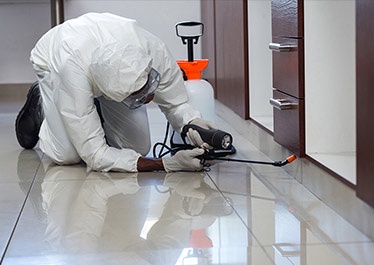 The Commercial Importance of Pest Control: A Comprehensive Analysis of Kreshco Pest Control