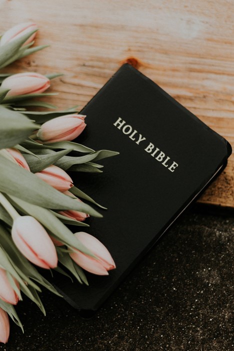 How The Holy Bible Change Your Life?