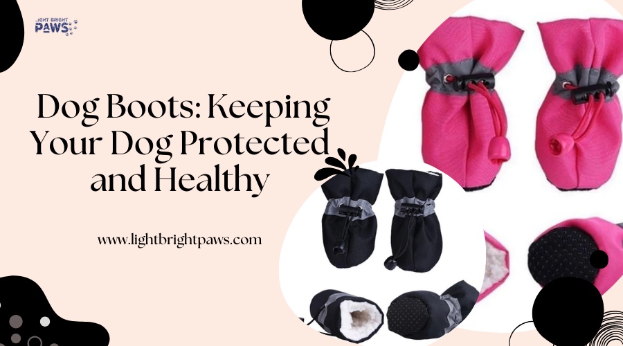 Dog Boots: Keeping Your Dog Protected and Healthy