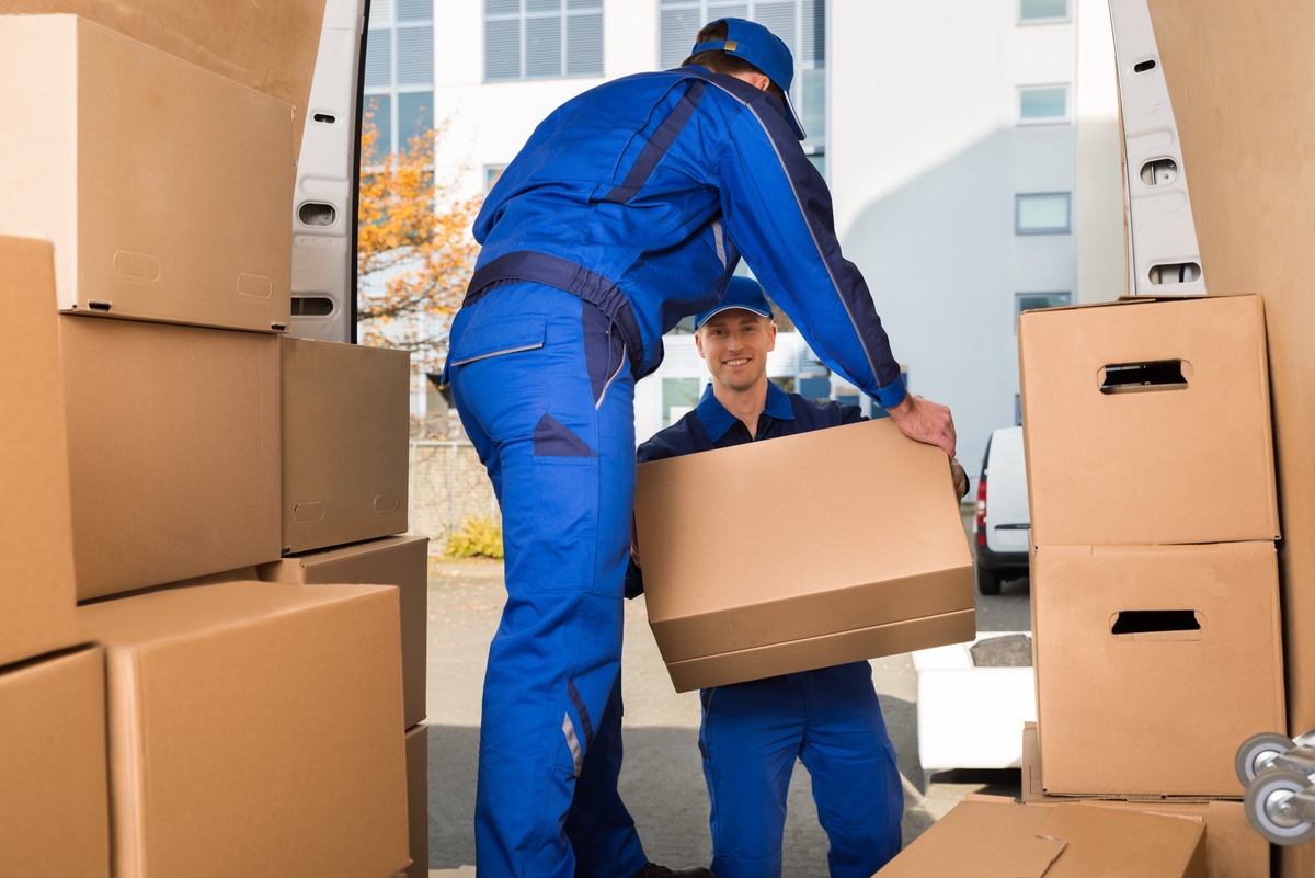 Everything You Need to Know About Local Moving Services