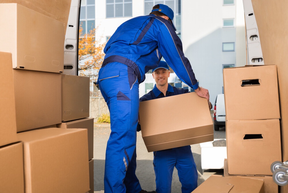 Everything You Need to Know About Local Moving Services