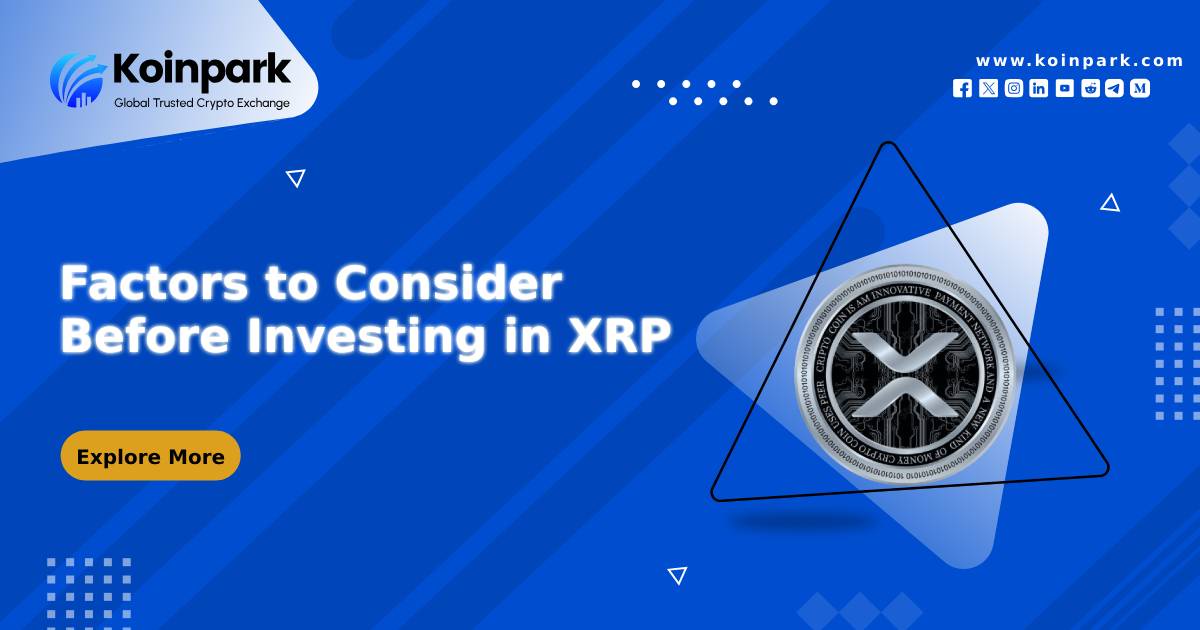 Factors to Consider Before Investing in XRP
