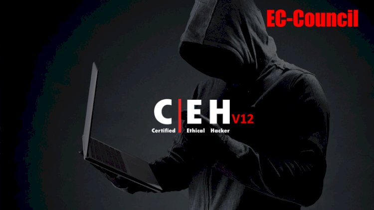 What are the Benefits of Taking a CEH Course in Pune?