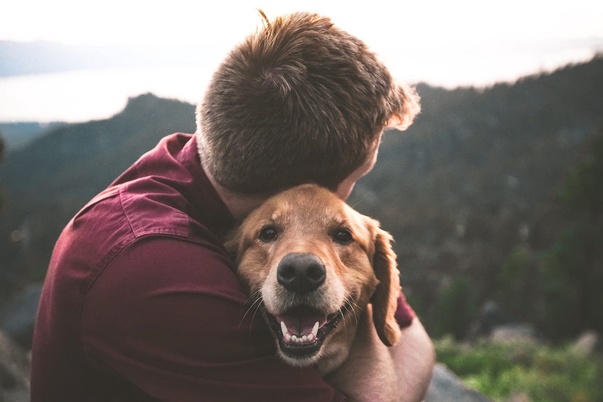 What are the eligibility criteria for an Emotional Support Animal in Ohio?