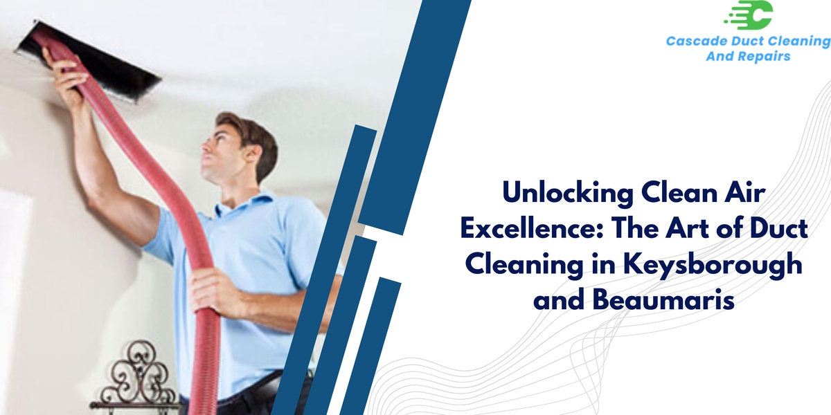 Unlocking Clean Air Excellence: The Art of Duct Cleaning in Keysborough and Beaumaris