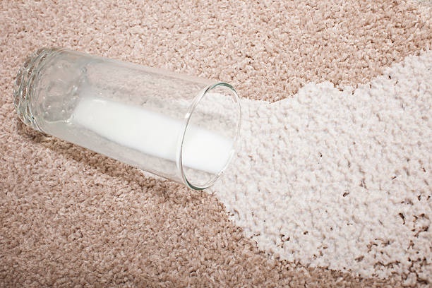 How to Remove Milk Stains From Carpets