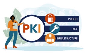 PKI DEVELOPMENT: Navigating the Path to Secure Cyber Environments