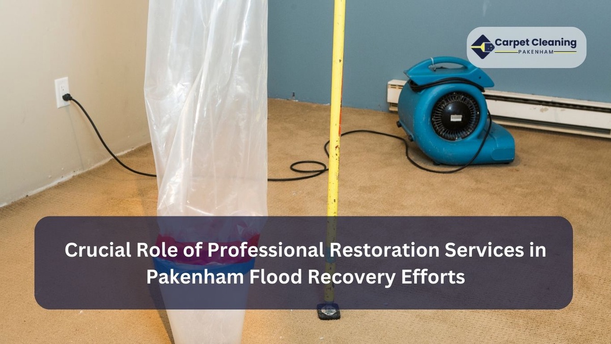 The Crucial Role of Professional Restoration Services in Pakenham Flood Recovery Efforts