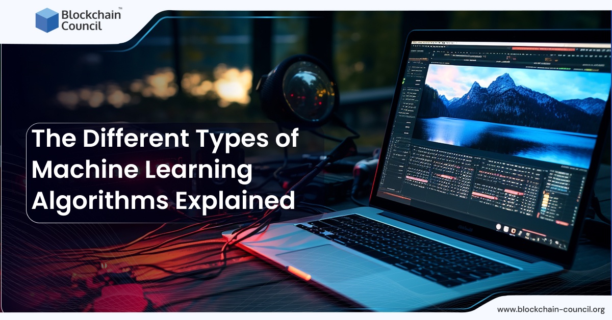 The Different Types of Machine Learning Algorithms Explained