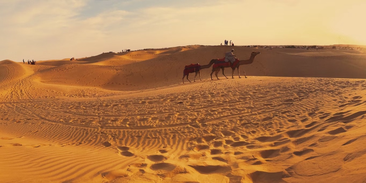 Desert Safari Adventures: Exploring India's Arid Landscapes