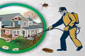 Revolutionizing Healthcare: The Role of Kreshco Pest Control in Promoting Public Health