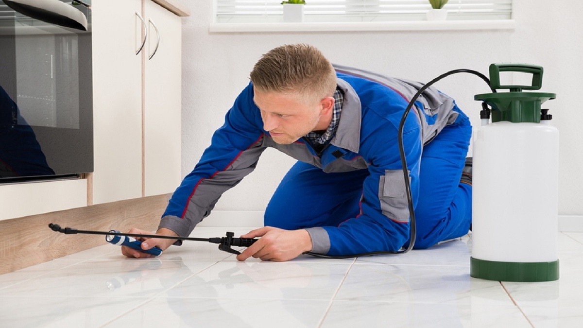 A Comprehensive Guide to Bug Pest Control in Houston