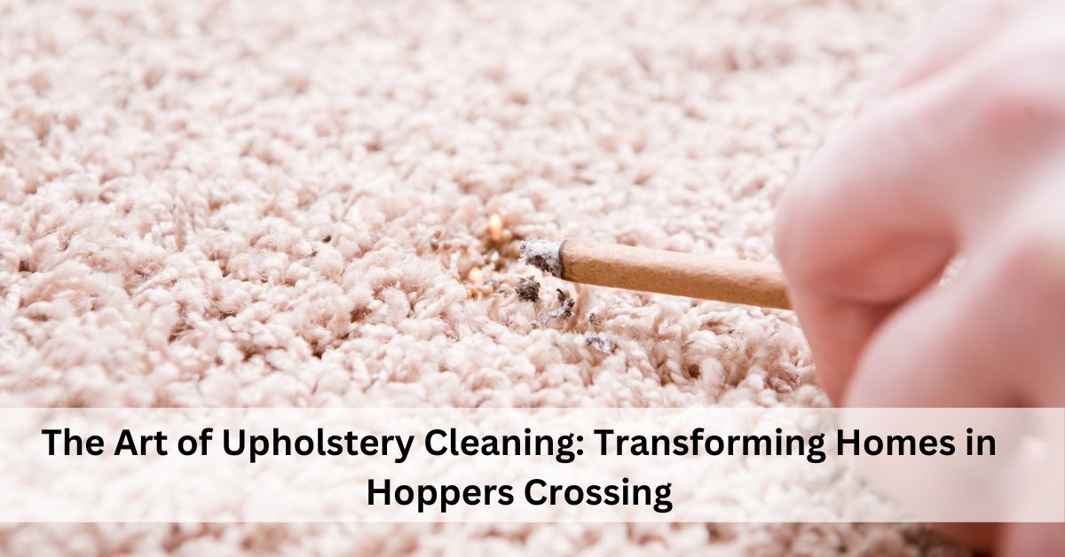 The Art of Upholstery Cleaning: Transforming Homes in Hoppers Crossing