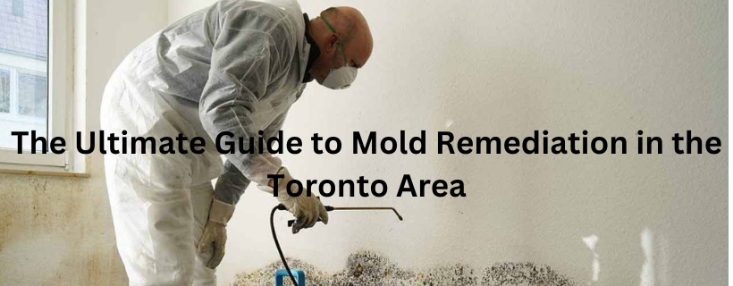 The Ultimate Guide to Mold Remediation in the Toronto Area