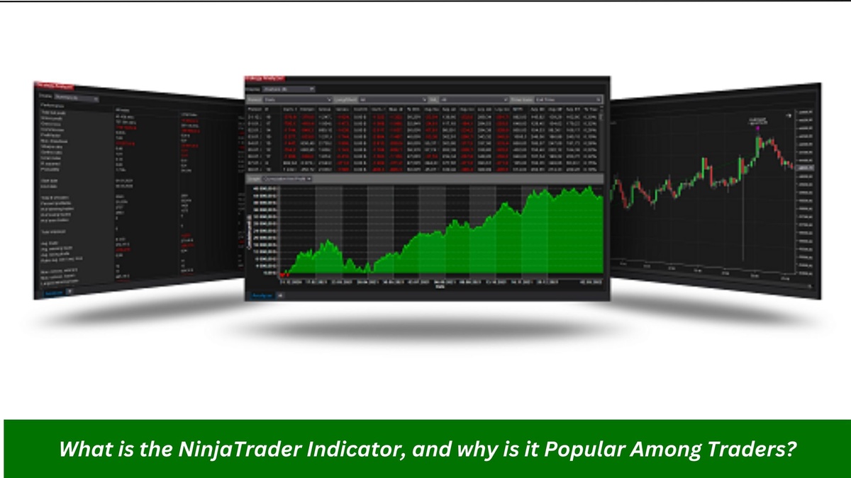 What is the NinjaTrader Indicator, and why is it Popular Among Traders?