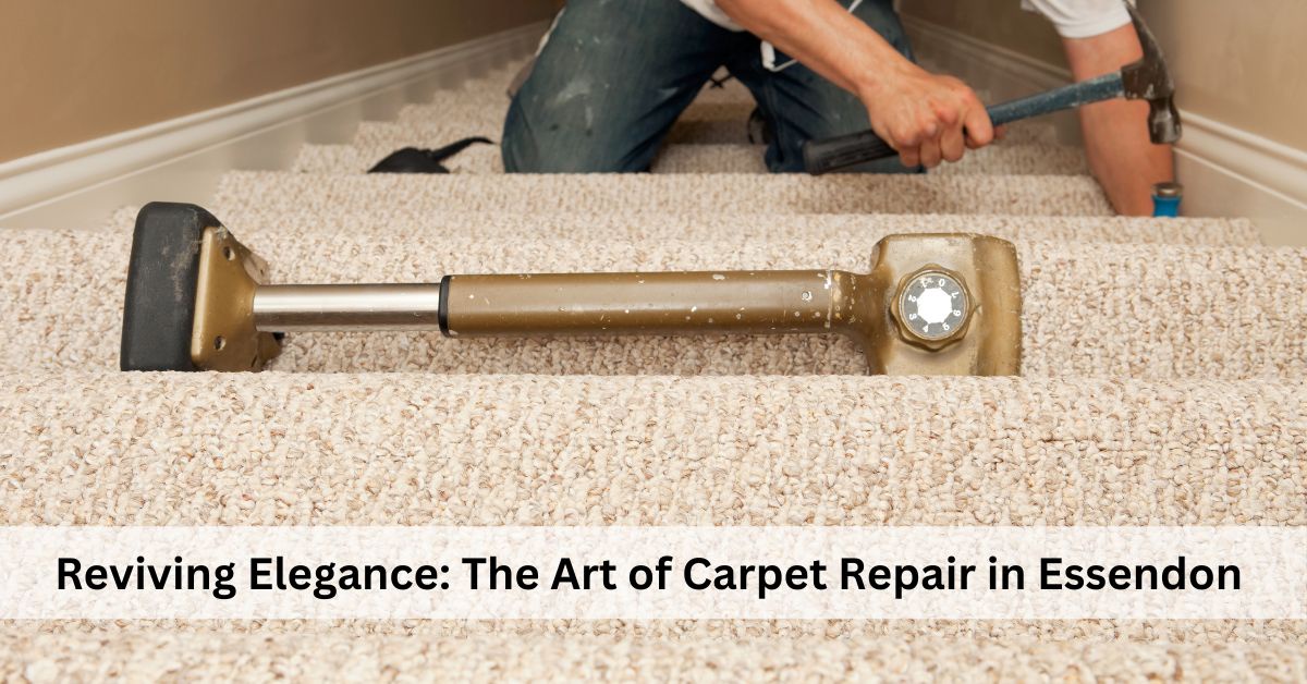 Reviving Elegance: The Art of Carpet Repair in Essendon