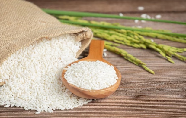 Journey into the Fields with Top Basmati Rice Suppliers in India