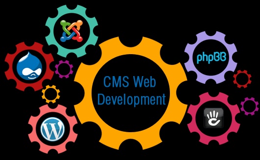Empowering Online Presence: Website CMS Development Services the UK