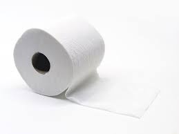 The Chronicles of Quirky Toilet Paper Tales"