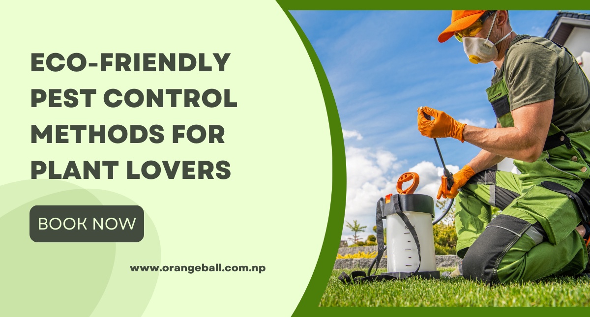 Eco-Friendly Pest Control Methods for Plant Lovers